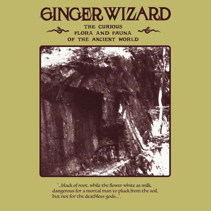 Ginger Wizard The Curious Flora and Fauna of the Ancient World Vinyl LP 2026