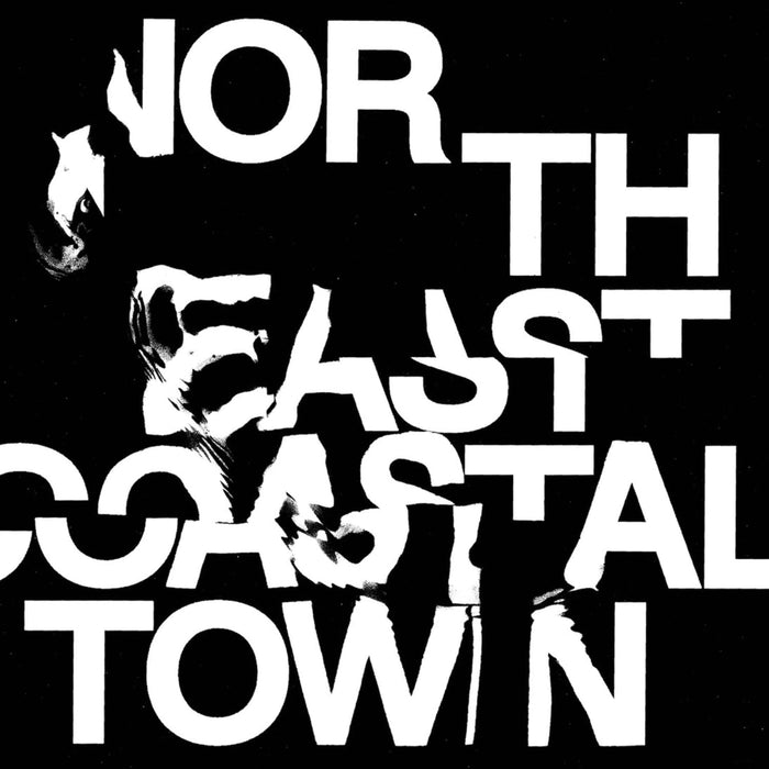 Life North East Coastal Town Vinyl LP