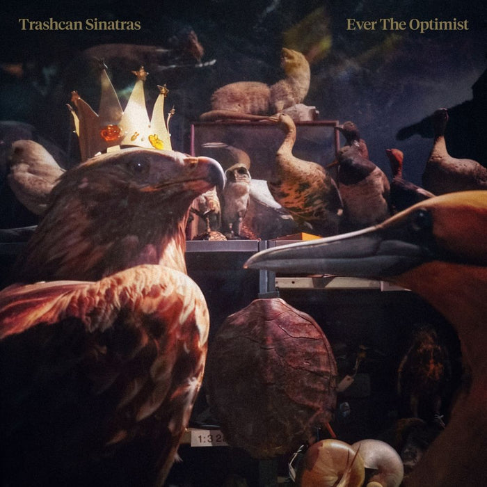 Trashcan Sinatras Ever The Optmist Vinyl LP Due Out 31/07/26