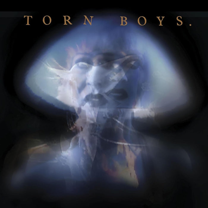 Torn Boys 1983 Vinyl LP 2024