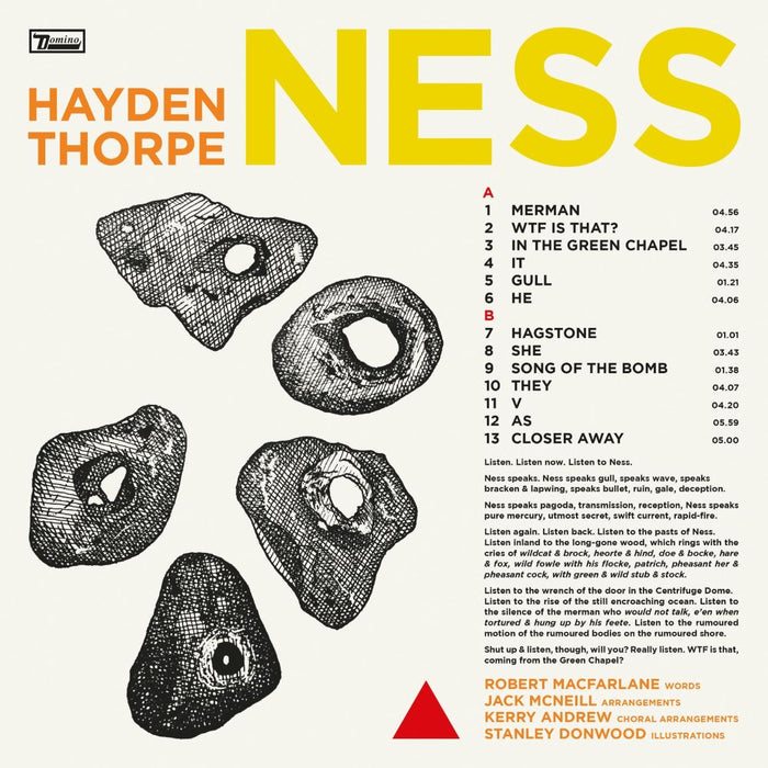 Hayden Thorpe Ness Vinyl LP 2024