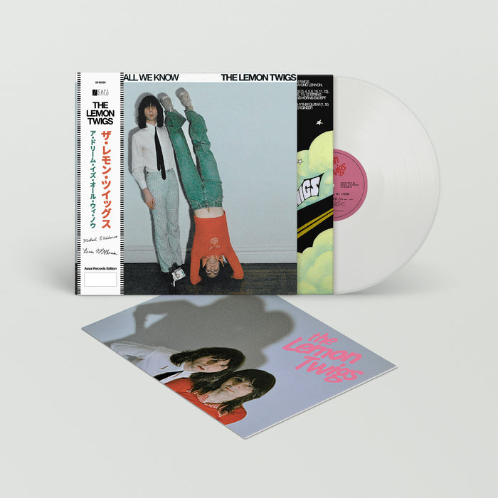 The Lemon Twigs A Dream Is All We Know Vinyl LP Signed Assai Obi Edition Ice Cream Colour 2024