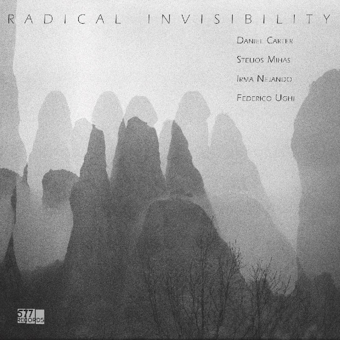 Carter Mihas Nejando Ughi Radical Invisibility Vinyl LP New 2019