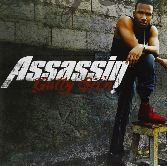 ASSASSIN GULLY SITN A HALL STORY LP VINYL NEW 33RPM