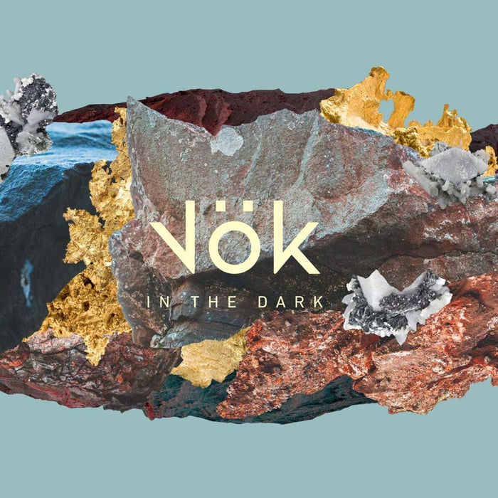 Vok In The Dark Vinyl LP New 2019