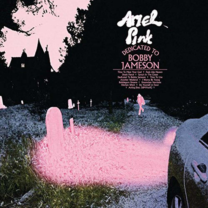 ARIEL PINK Dedicated To Bobby Jameson DOUBLE LP Vinyl BoxSet NEW 2017