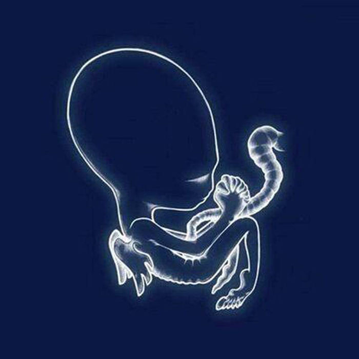 Sigur Ros Agaetis Byrjun Vinyl LP 2021