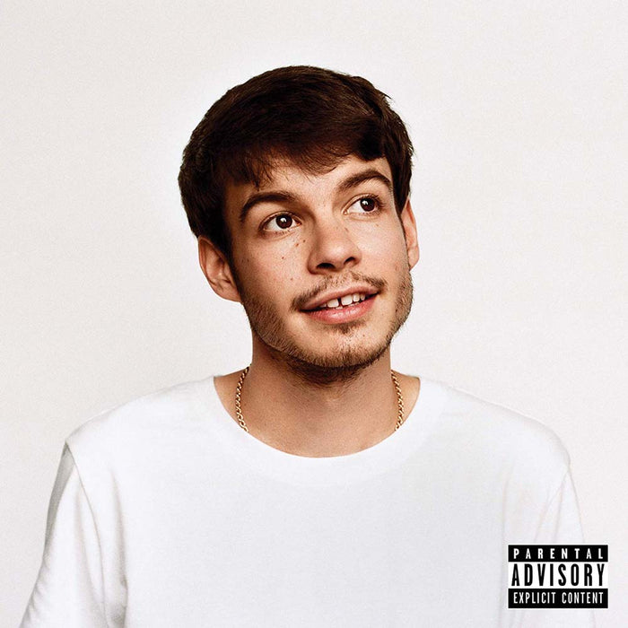 Rex Orange County Pony Vinyl LP 2019