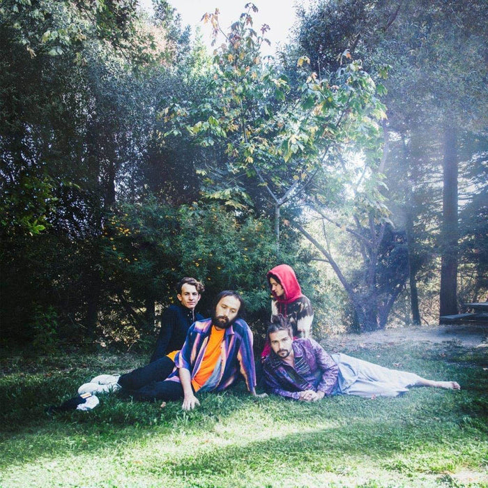 Big Thief UFOF Vinyl LP 2019