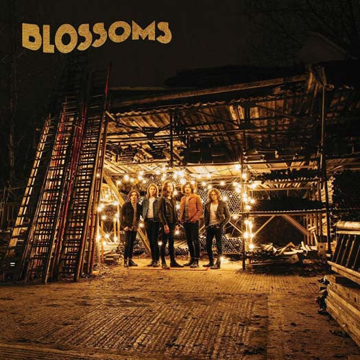 BLOSSOMS Blossoms 12" 180gm LP Vinyl NEW