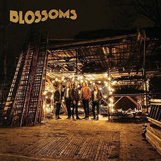 Blossoms Vinyl LP New 2016