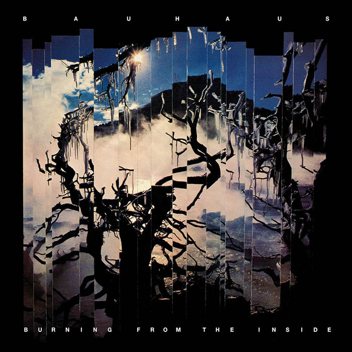 Bauhaus Burning from the Inside Vinyl LP 2018
