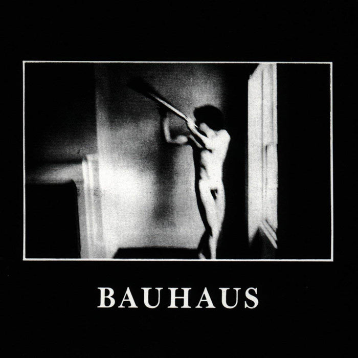 Bauhaus In The Flat Field Vinyl LP 2018