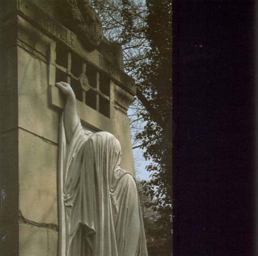 Dead Can Dance - Within The Realm Of The Dying Sun Vinyl LP 2016