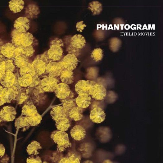PHANTOGRAM EYELID MOVIES LP VINYL NEW (US) 33RPM