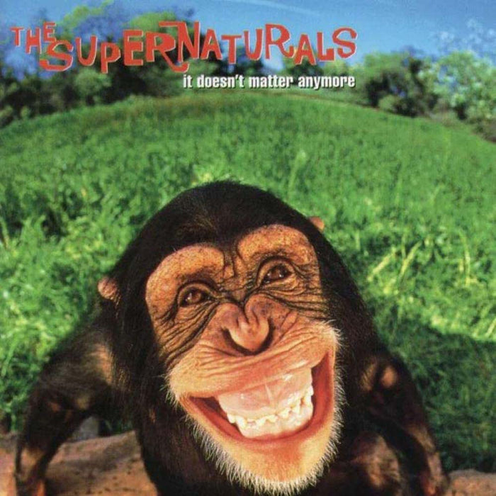 The Supernaturals It Doesn't Matter Anymore Vinyl LP Blue Vinyl 2023