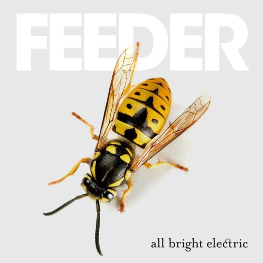 FEEDER All Bright Electric 2LP Colour Vinyl NEW