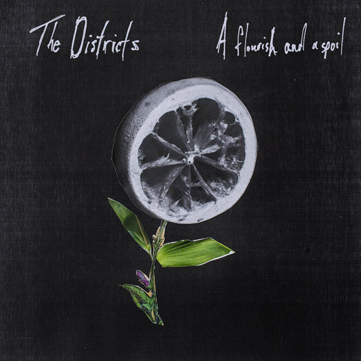 The Districts - A Flourish & A Spoil Vinyl LP 2015