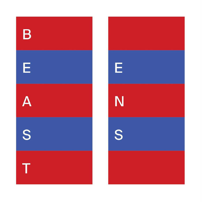 Beast Ens Indies Colour Vinyl LP 2018
