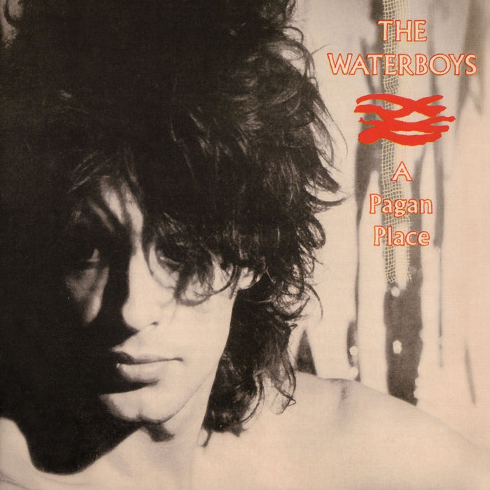 The Waterboys A Pagan Place Vinyl LP 2014