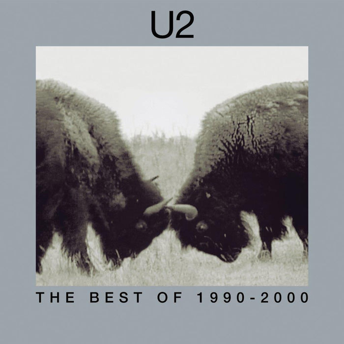 U2 The Best Of 1990-2000 Vinyl LP 2018