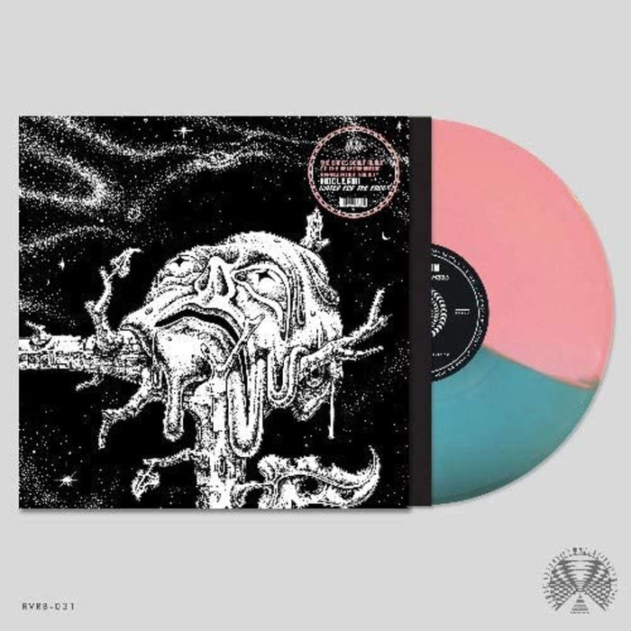 Hooveriii Water For The Frogs Vinyl LP Pink & Blue Colour 2021