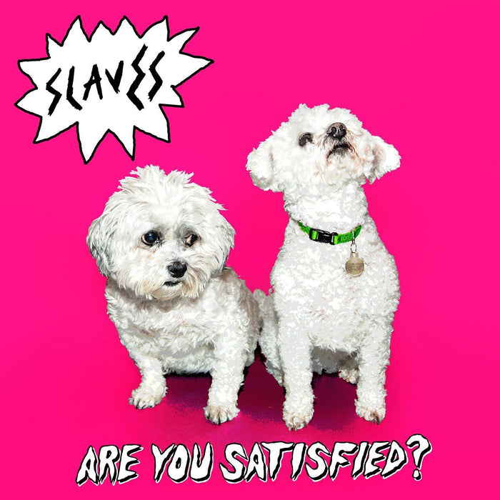 Slaves Are You Satisfied? Vinyl LP 2015