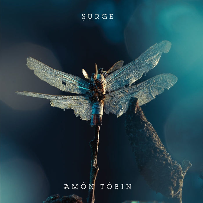 Amon Tobin Surge 12