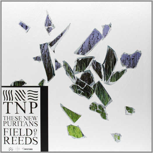 THESE NEW PURITANS FIELD OF REEDS LP VINYL NEW 2013 33RPM