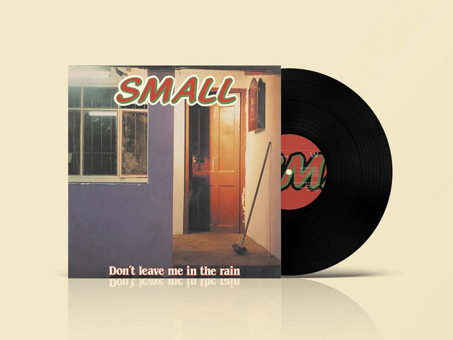 Small Don't Leave Me In The Rain Vinyl LP 2022