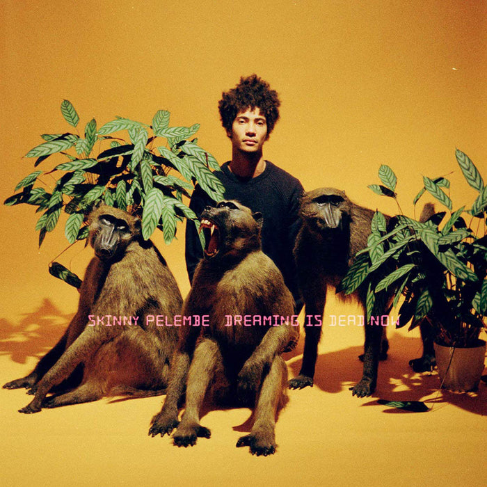Skinny Pelembe Dreaming Is Dead Now Vinyl LP 2019