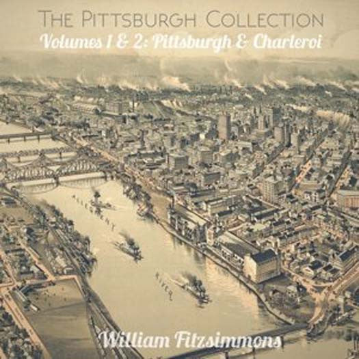 WILLIAM FITZSIMMONS THE PITTSBURGH COLLECTION Vinyl LP