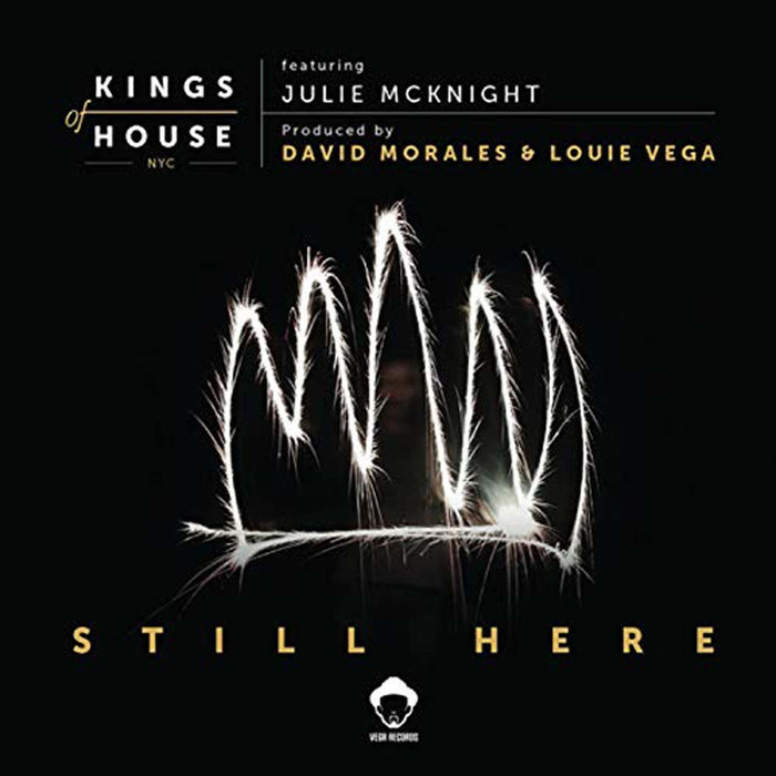 Kings Of House Feat Julie Mcknight Still Here Vinyl LP New 2019