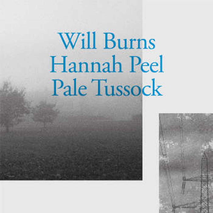 Will Burns And Hannah Peel Pale Tussock Vinyl 7" Single 2019