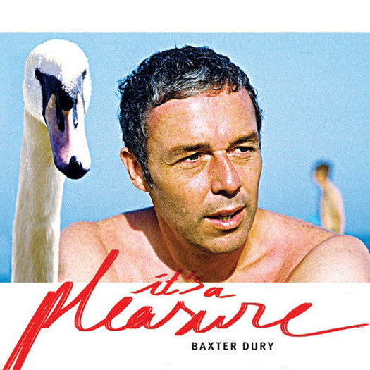 Baxter Dury It's A Pleasure Vinyl LP 2014