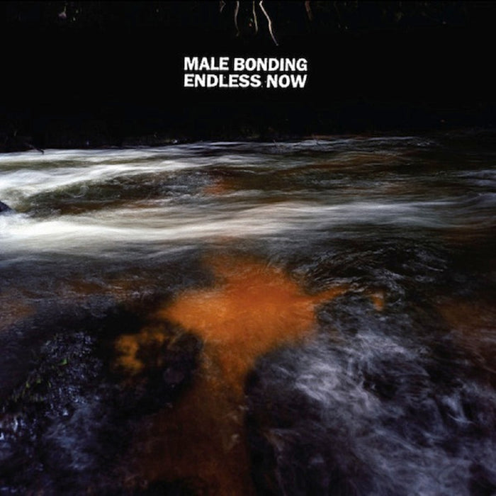 Male Bonding Endless Now Vinyl LP 2011