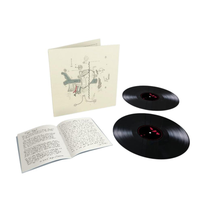 Frightened Rabbit Tiny Changes: A Celebration of the Midnight Organ Fight Vinyl LP 2019