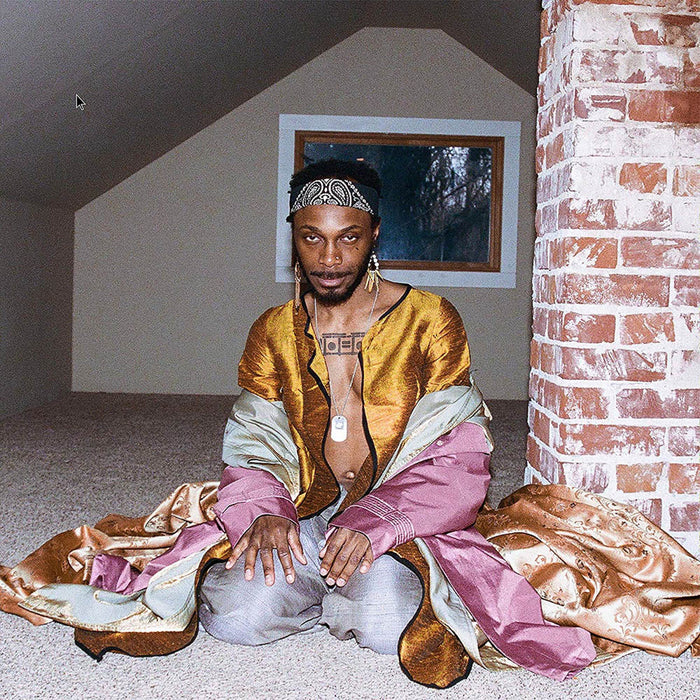 JPEGMAFIA All My Heroes Are Cornballs Vinyl LP 2020