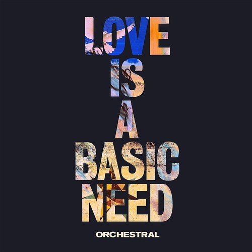 Embrace Love Is A Basic Need Orchestral Vinyl LP 2018
