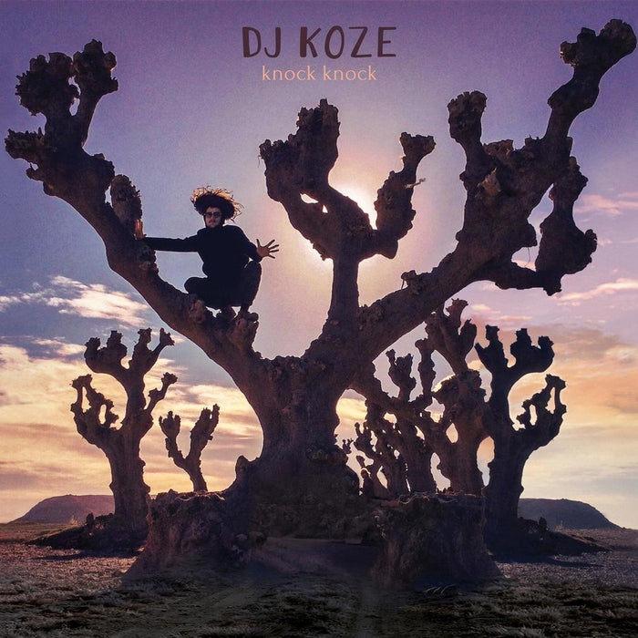 DJ Koze Knock Knock Lp & 7" Single Vinyl 2018