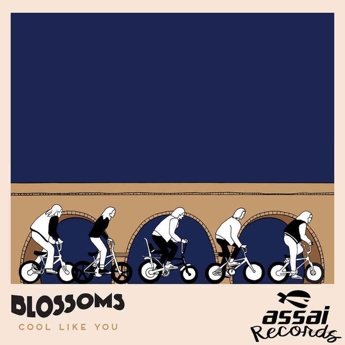 Blossoms - Cool Like You Vinyl LP RSD Ltd 2019