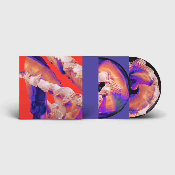 BICEP Isles Vinyl LP Picture Disc 2021