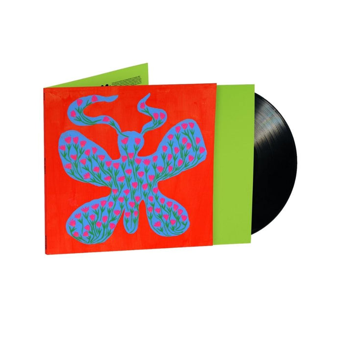 Dehd Blue Skies Vinyl LP 2022